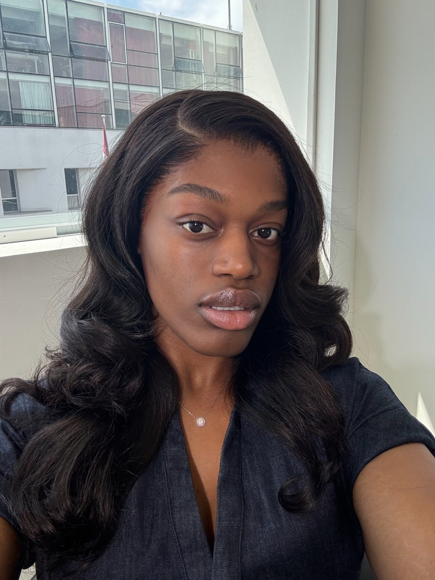 Mink Raw Body Wave Transparent Lace Wig #1B